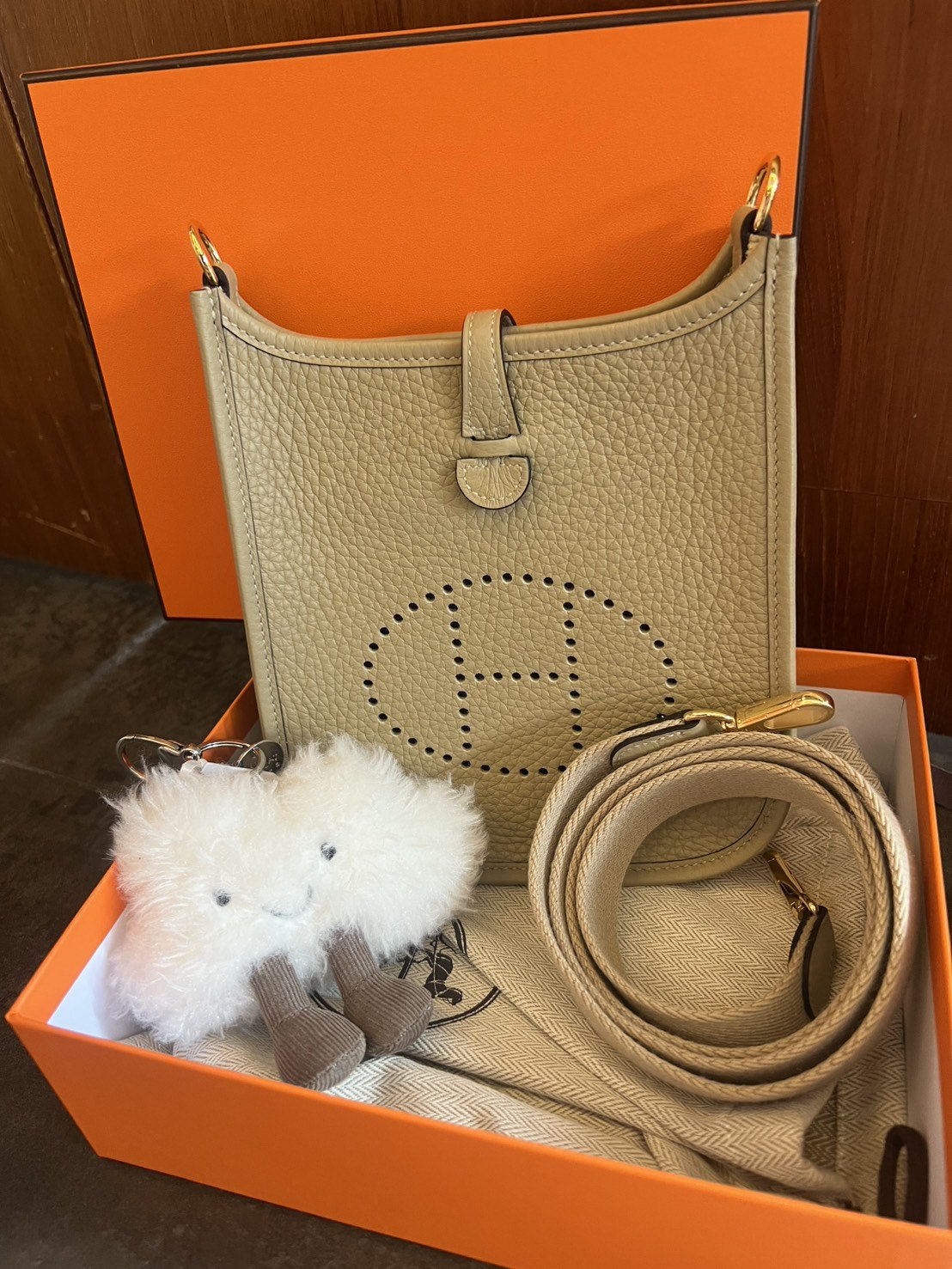 Hermes mini eve